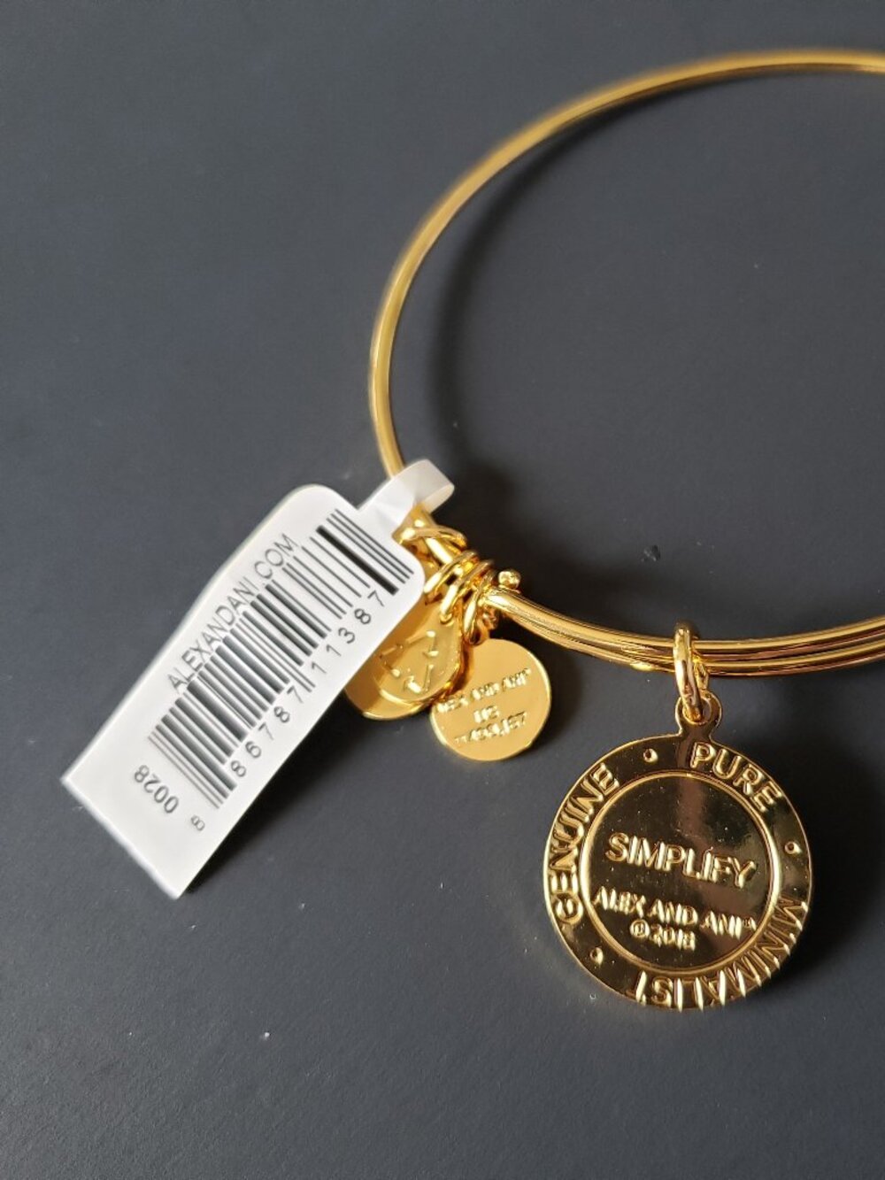 Alex and Ani Simplify Bracelet Bangle 703